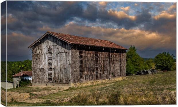 The Old Tobacco Drying Barn Canvas Print by Dave Williams