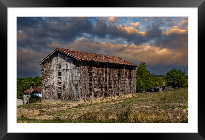 The Old Tobacco Drying Barn Framed Mounted Print by Dave Williams