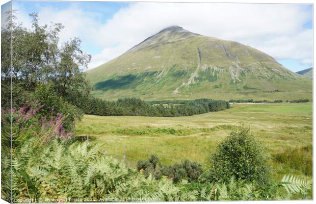 Highland landscape Canvas Print by Photogold Prints