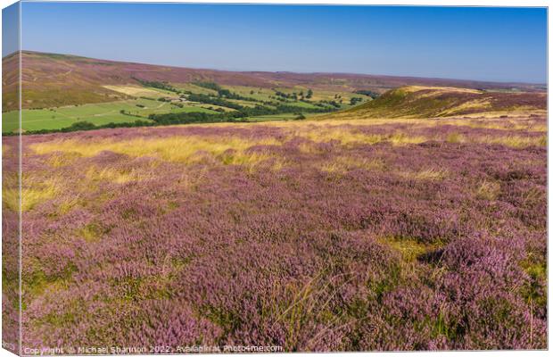 Purple Heather Moorland in Westerdale, North Yorks Canvas Print by Michael Shannon