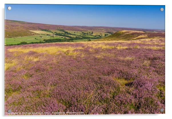 Purple Heather Moorland in Westerdale, North Yorks Acrylic by Michael Shannon