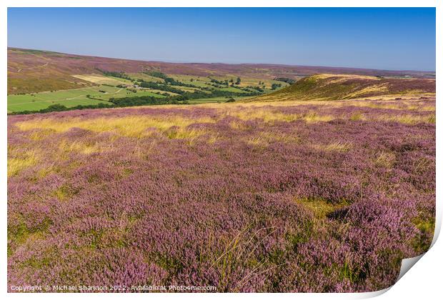 Purple Heather Moorland in Westerdale, North Yorks Print by Michael Shannon
