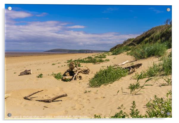 View of the beach and sand dunes at Berrow in Some Acrylic by Michael Shannon