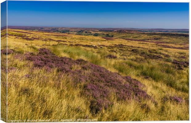 Westerdale, North Yorkshire Moors in Late Summer Canvas Print by Michael Shannon
