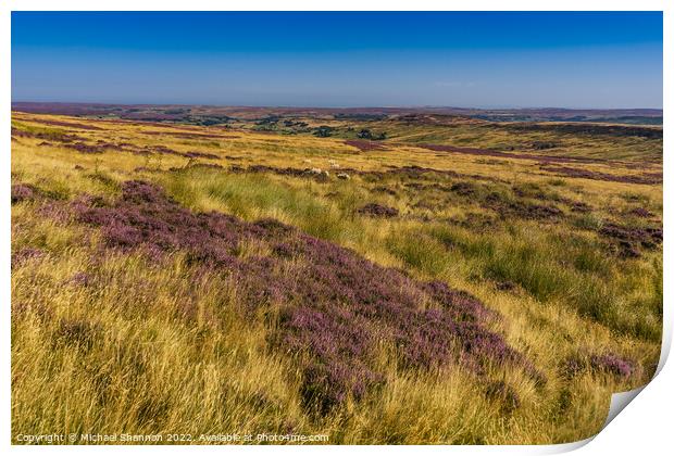 Westerdale, North Yorkshire Moors in Late Summer Print by Michael Shannon