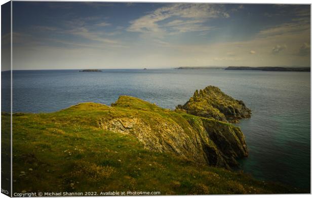 Looking out to sea from Barras Point near Padstow  Canvas Print by Michael Shannon