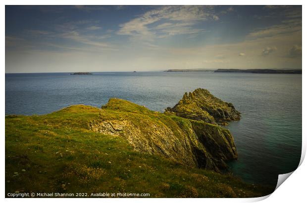 Looking out to sea from Barras Point near Padstow  Print by Michael Shannon