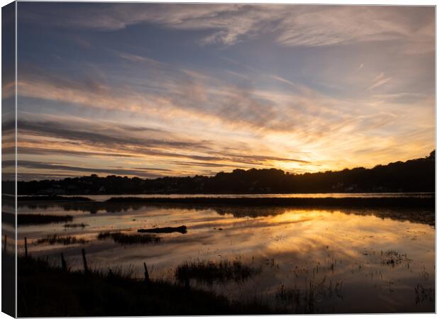 Sunset along the Tarka Trail  Canvas Print by Tony Twyman