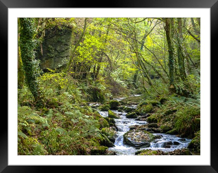 Forest Stream Flowing Through a Glade Framed Mounted Print by Dave Bell