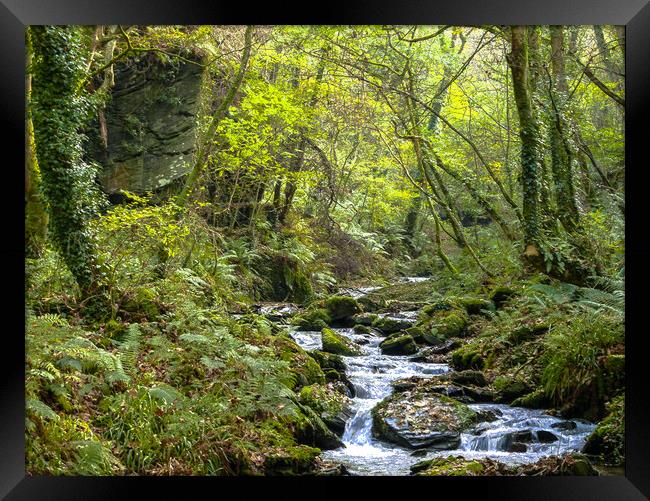 Forest Stream Flowing Through a Glade Framed Print by Dave Bell