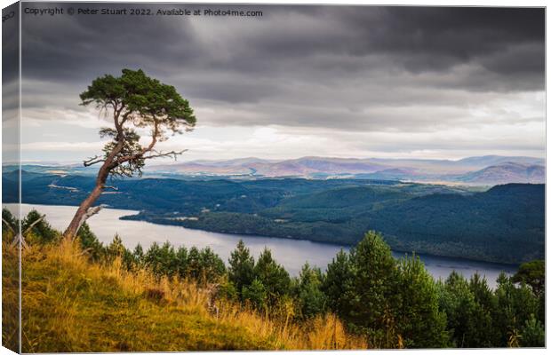 Viewpoint  on the Great Glen Way near to Invermoritson in the Sc Canvas Print by Peter Stuart
