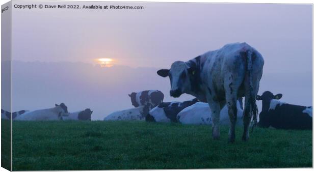 A herd of cattle on top of a hill at sunrise in the mist Canvas Print by Dave Bell