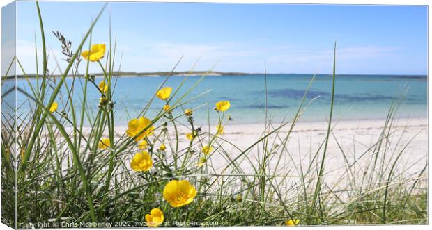 Buttercups on beach Canvas Print by Chris Mobberley
