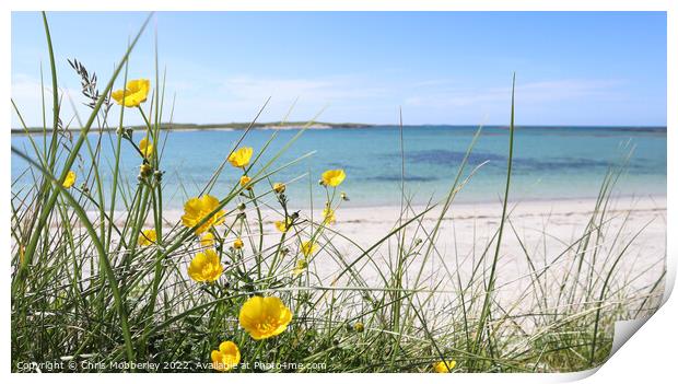 Buttercups on beach Print by Chris Mobberley