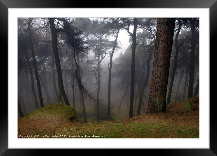 Calm woodland mist Framed Mounted Print by Chris Mobberley