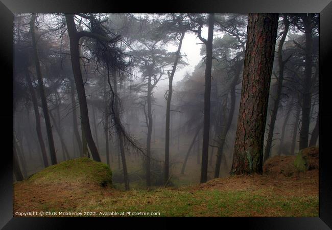Calm woodland mist Framed Print by Chris Mobberley
