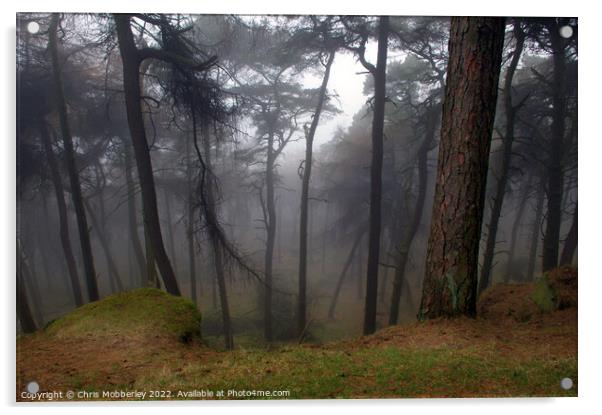 Calm woodland mist Acrylic by Chris Mobberley