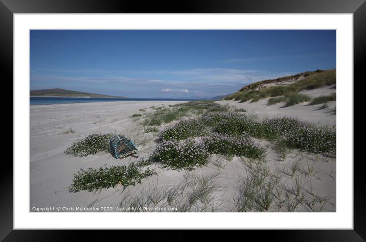 Flowers on Berneray beach Framed Mounted Print by Chris Mobberley