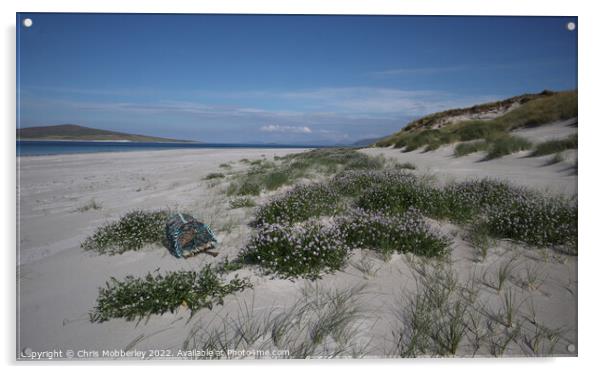Flowers on Berneray beach Acrylic by Chris Mobberley