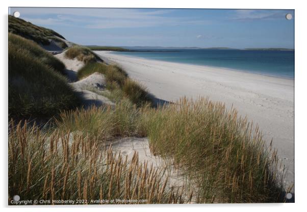 Scottish beach Berneray  Acrylic by Chris Mobberley