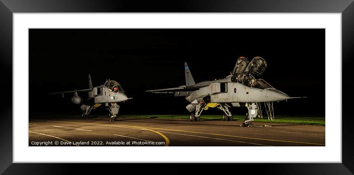 Pair of Jaguars Framed Mounted Print by Dave Layland