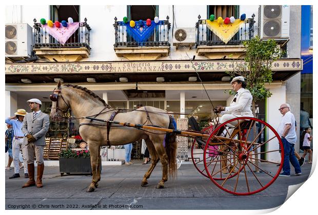 Horse and buggy in Ronda Spain. Print by Chris North