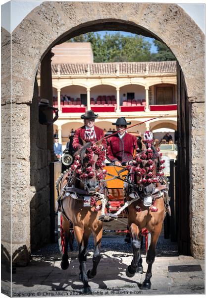 Horses in carriage leaving Ronda bullring Spain Canvas Print by Chris North
