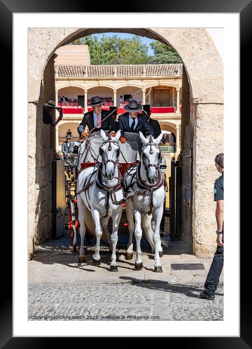Andalusian horse and carriage. Framed Mounted Print by Chris North