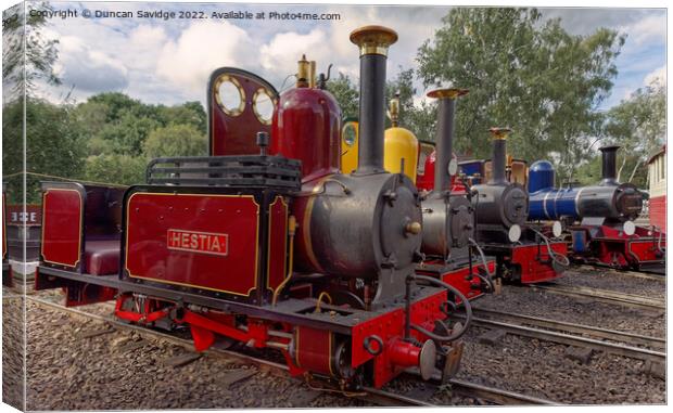 Moors Valley Railway collection of narrow gauge locomotives Canvas Print by Duncan Savidge