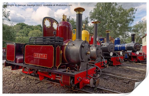 Moors Valley Railway collection of narrow gauge locomotives Print by Duncan Savidge