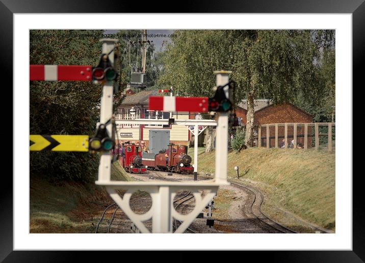 Moors Valley Railway  Framed Mounted Print by Duncan Savidge
