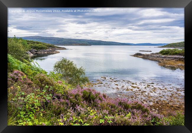 Loch Sunart, Ardnamurchan Peninsula Framed Print by Angus McComiskey