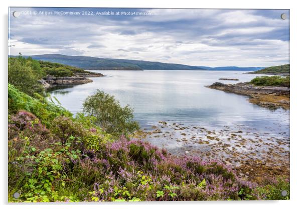 Loch Sunart, Ardnamurchan Peninsula Acrylic by Angus McComiskey