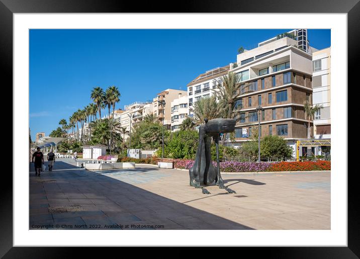 Statue to a dog on Estepona  promenade. Framed Mounted Print by Chris North