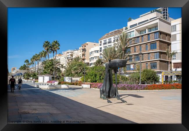 Statue to a dog on Estepona  promenade. Framed Print by Chris North