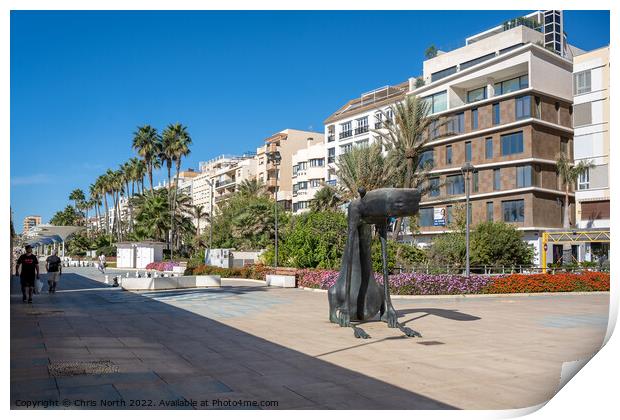 Statue to a dog on Estepona  promenade. Print by Chris North
