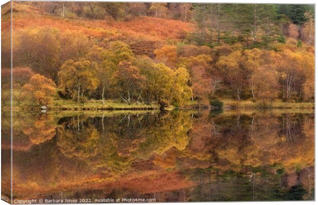 Highland Lochan, Autumn Colours, Scotland. Canvas Print by Barbara Jones