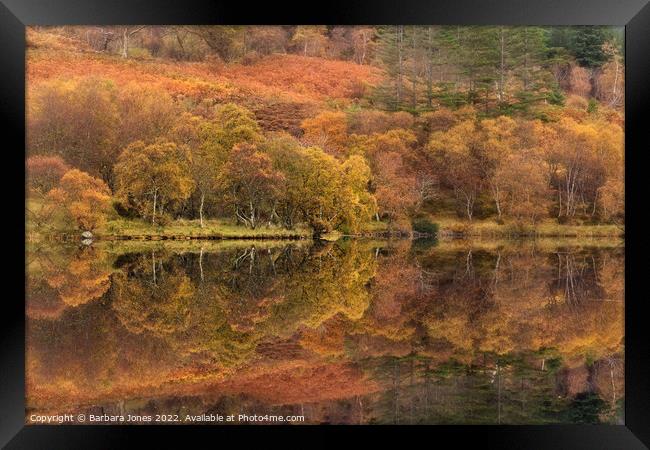 Highland Lochan, Autumn Colours, Scotland. Framed Print by Barbara Jones