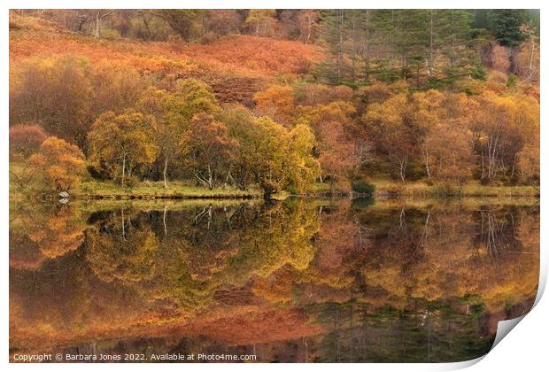 Highland Lochan, Autumn Colours, Scotland. Print by Barbara Jones