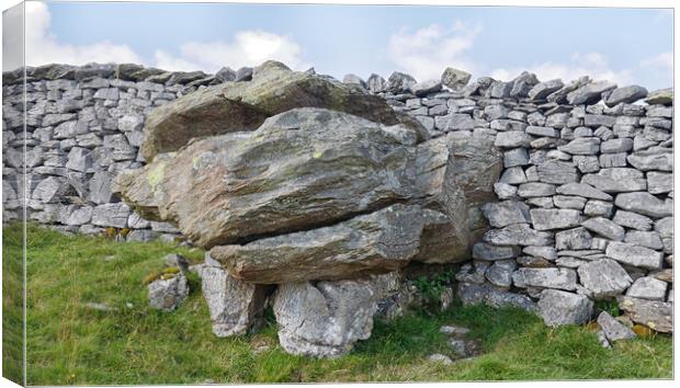 Glacial erratic in a wall.  Canvas Print by Mark Godden