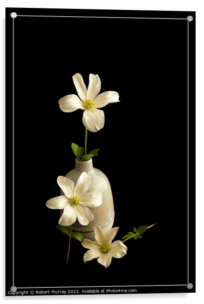 Clematis "Huldine" - Elegance in White Acrylic by Robert Murray