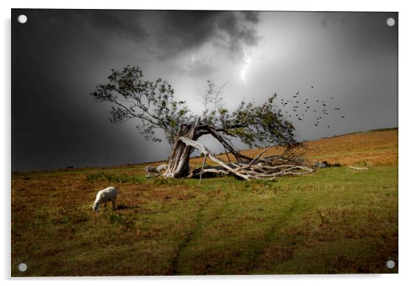 A broken tree in Brecon Acrylic by Leighton Collins
