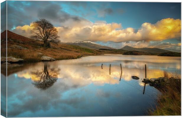 Llyn Dywarchen  Canvas Print by Rory Trappe