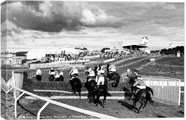 Horse Racing at Downpatrick Canvas Print by Harry Marcus