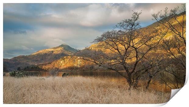 Llyn Gwynant with Yr Aran Print by Rory Trappe