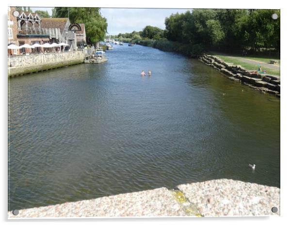 River Frome at Wareham Dorset Acrylic by John Bridge