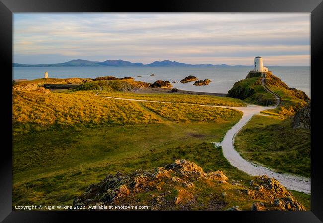 Twr Mawr Lighthouse Framed Print by Nigel Wilkins