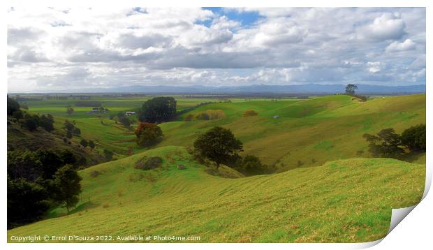 The low hills of a beautiful New Zealand landscape Print by Errol D'Souza