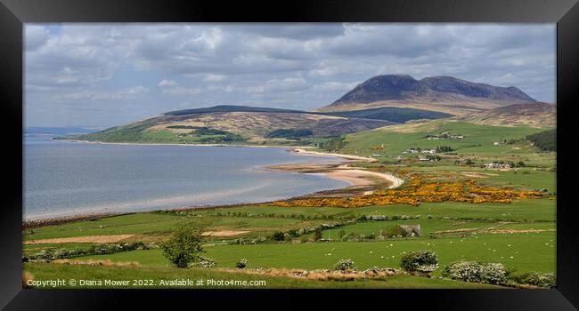 Isle of Arran Panoramic  Coastal view Framed Print by Diana Mower