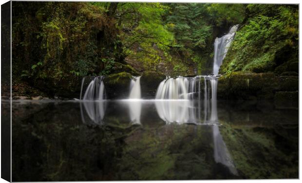 Waterfall reflection Canvas Print by Leighton Collins